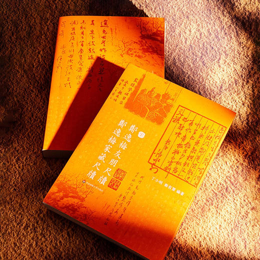 郑逸梅友朋尺牍 郑逸梅家藏尺牍 名宿交游 民国海上艺坛往事 商品图10