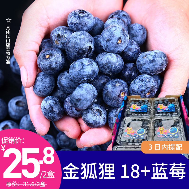 【日配鲜食】拍2盒25.8元！金狐狸  18+蓝莓  单盒约125g 果香浓郁 口口爆浆（下单后3日内提配）