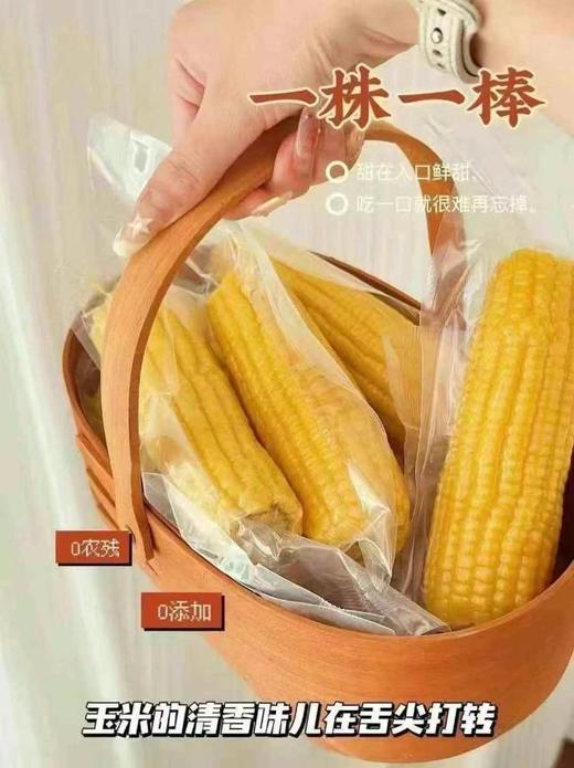 #草滩农场#傻小胖玉米家庭装 商品图7