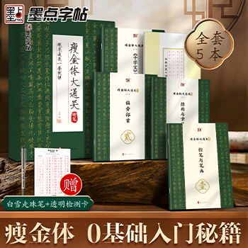 墨点字帖【瘦金体字帖】硬笔入门字帖成人练字宋徽宗初学者套装教程练瘦金体大通关千字文钢笔临摹书法男女练字帖高中生大学生描红控笔