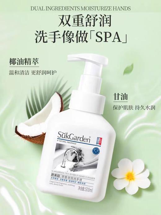 蔬果园茶香泡泡洗手液 500ml 商品图0