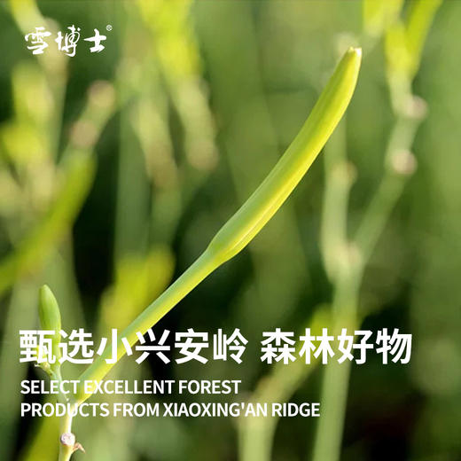 雪博士有机黄花菜 无硫磺熏制小兴安岭原产80g/罐 商品图2