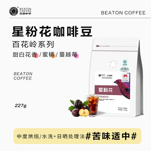 配方设计系列 星粉花 商品图0