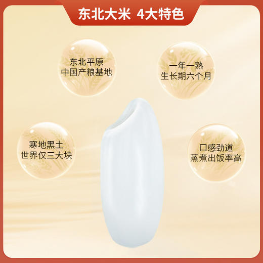 邻家饭香 东北大米 长粒香米 5kg/袋 真空双层包装 LJFX86-C 商品图3