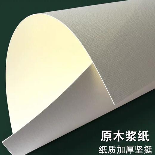枫丽版画纸 版画油墨颜料专用卡纸 A3 300g 10张/包 水粉水彩纸画画纸 商品图1
