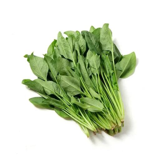 A菠菜(300±20g) 商品图0