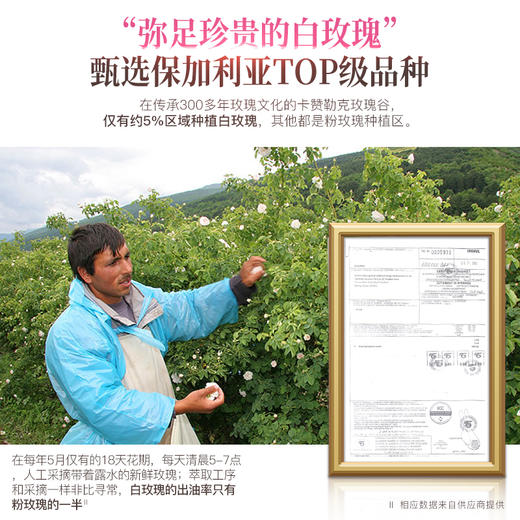 【双12大促】【王炸福利品】嘉媚乐白玫瑰润色精华乳100ml   进阶亮肤  臻养光感娇颜 商品图5