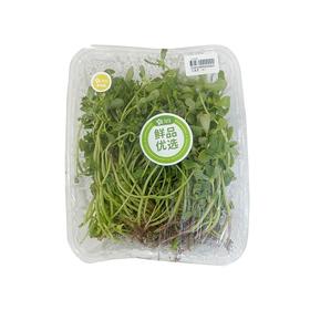 马齿苋（份）约200g