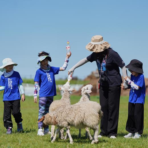 【暑假】在呼伦贝尔给野性充值，寻访三个林草带少数民族 6天5晚 商品图14
