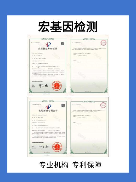 ADHD检测套餐（肠道宏基因+叶酸代谢基因+食物不耐受109项） 商品图4