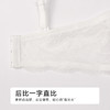 都市丽人自然舒适B杯常规内衣中厚蕾丝树脂胶圈常规文胸LBH1M2 商品缩略图7