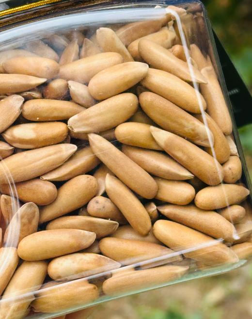 觅菓晚松AA+阿富汗手剥大松子268g，源自阿富汗海拔约3000m的高山松林，严选长度在21mm的饱满大松子~觅菓玫瑰无花果干AA+338g，源自伊朗荒漠高原“玫瑰”，原料纯天然~ 商品图1