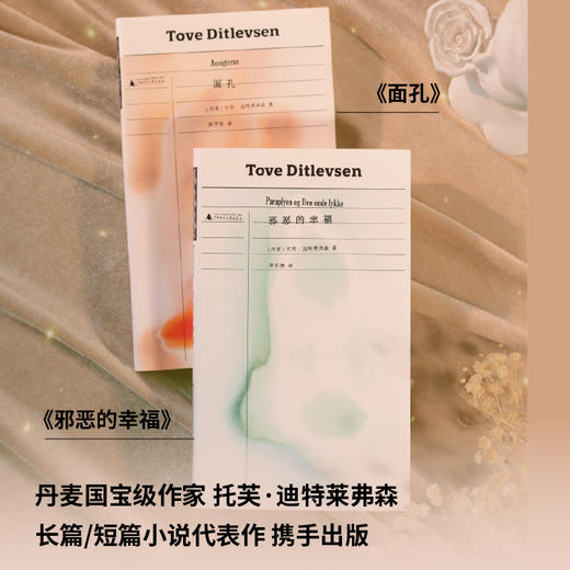 面孔 | 托芙·迪特莱弗森长篇代表作 在混沌中探寻自我的女性声音 商品图5