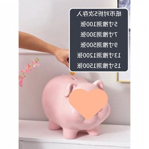 存钱罐儿童不可取网红创意可爱女生陶瓷猪大容量储蓄罐少女心代发 商品图2