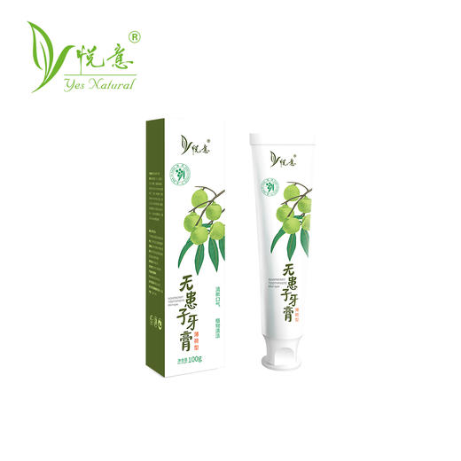 悦意无患子牙膏 薄荷型 100g*2 植物清洁护口腔 清新口气全家享 商品图0