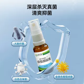 丝瓜仁皮肤消毒抑菌 泵硬结 伤口恢复 褥疮 开放性创口 纯中药