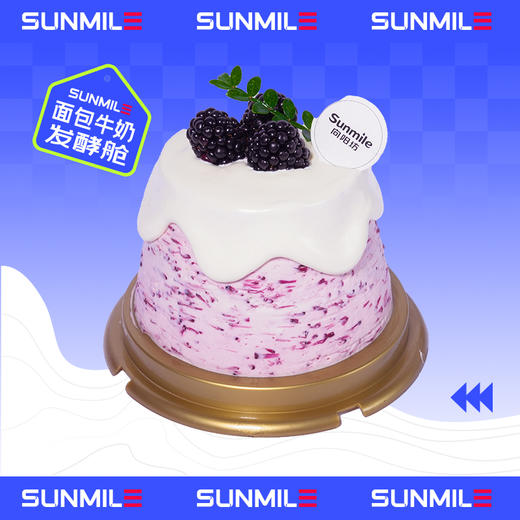 杨梅华尔滋蛋糕（3寸） 商品图0