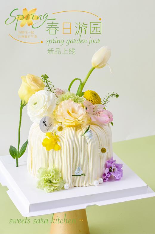 春日游园 商品图1