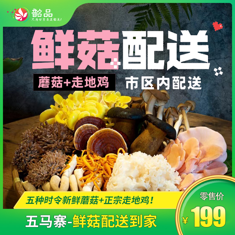 鲜菇鸡配送【好多菌火锅】仁化五马寨基地直发，五种时令新鲜蘑菇+正宗走地鸡，韶关市区内配送，新鲜食材下单现配，需提前半天下单~