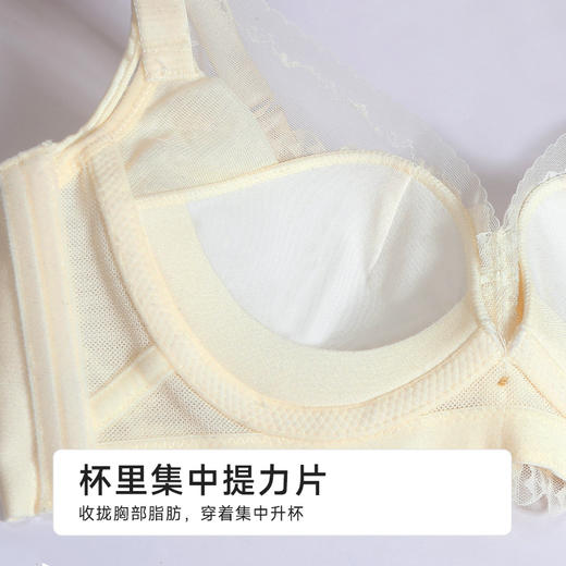 都市丽人自然舒适B杯常规内衣薄蕾丝无钢圈常规文胸LBH2M7 商品图6