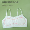 女童儿童内衣发育期小学生少女纯棉打底背心8-12岁女孩文胸薄款💕 商品缩略图2
