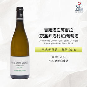 2016 Jean Pierre Guyon Nuits-Saint-Georges Les Argillas Pinot Blanc 吉雍酒庄阿吉拉（夜圣乔治村）白葡萄酒