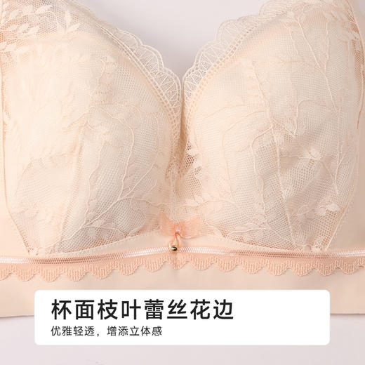 都市丽人大蜜柚完美包容内衣C:薄蕾丝软钢圈常规文胸LBH2J8 商品图4