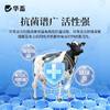 华畜利福昔明子宫注入剂胎衣不下母猪用恶露不尽产后保健子宫牛羊 商品缩略图2