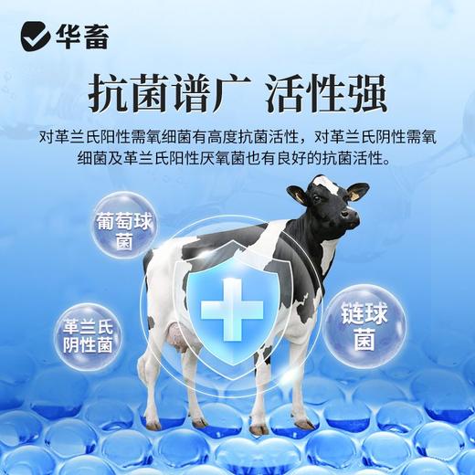 华畜利福昔明子宫注入剂胎衣不下母猪用恶露不尽产后保健子宫牛羊 商品图2