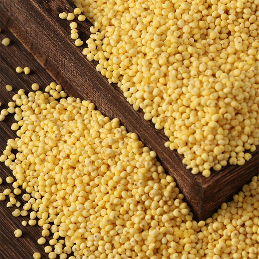 正耕 有机大黄米420g 商品图4