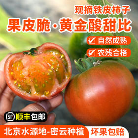 【好吃的铁皮水果番茄】密农人家 铁皮柿子自然熟绿腚西红柿 草莓番茄 新鲜水果西红柿   3斤