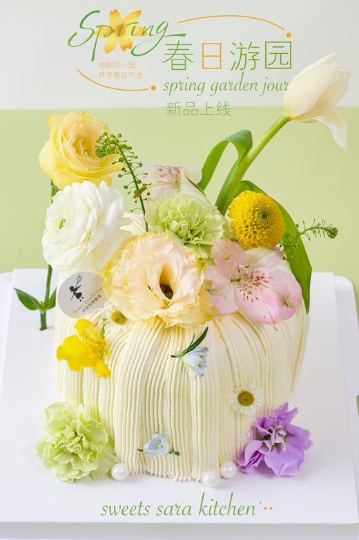 春日游园 商品图5