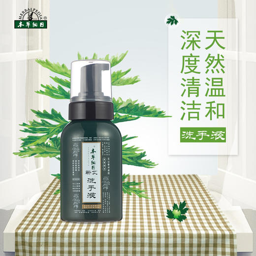 【蕲艾洗手液】天然温和  深度清洁~ 商品图0