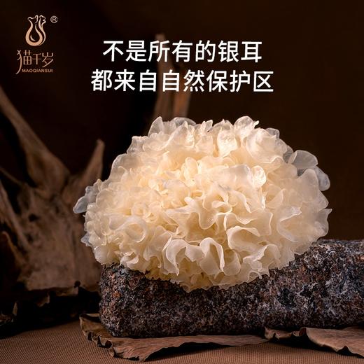 猫千岁√有机干银耳6朵，低温烘干技术7斤出1斤1朵30g泡发近半斤鲜银耳！ 商品图0