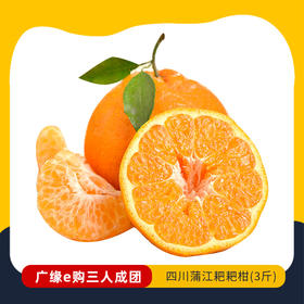 【3人成团 】四川蒲江耙耙柑（3斤）     2.22-2.26到店提货    132398