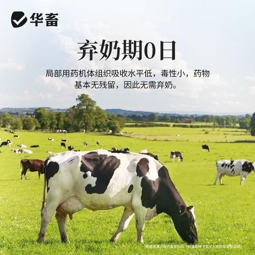 华畜利福昔明子宫注入剂胎衣不下母猪用恶露不尽产后保健子宫牛羊 商品图4