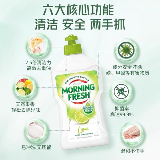 【中欧班列精选】澳洲进口Morning Fresh洗洁精浓缩家用小瓶不伤手400ml/瓶 商品图2