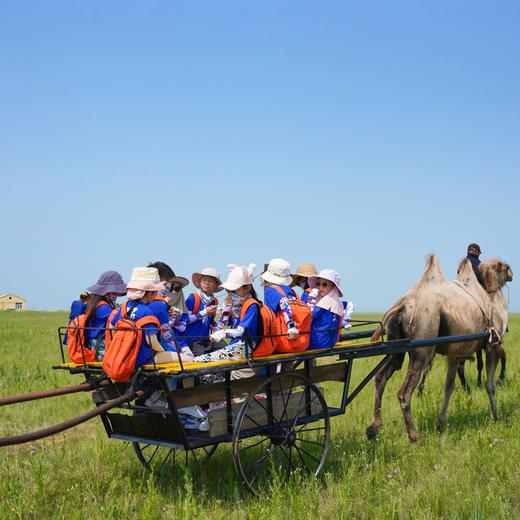 【暑假】在呼伦贝尔给野性充值，寻访三个林草带少数民族 6天5晚 商品图9