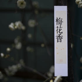 梅花香