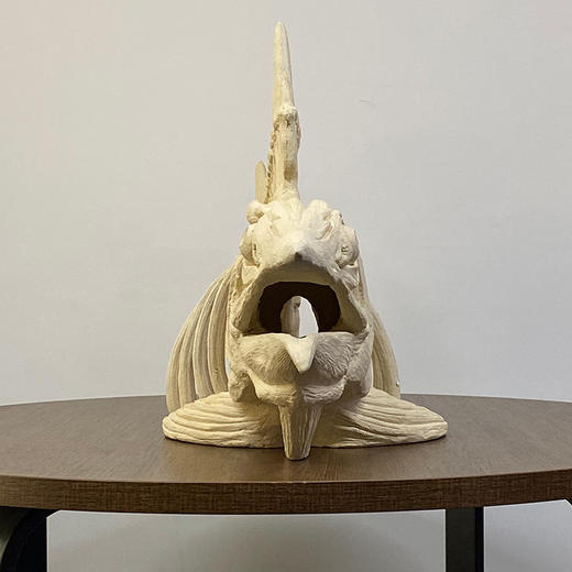 旗鱼骨骼造景摆件鱼骨造景海水缸造景石纯鱼缸FOT海水鱼珊瑚 商品图5