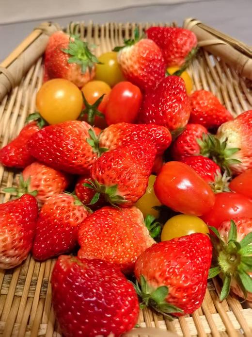 【限时福利59.99元/箱】【鸿翠园有机草莓】 商品图11