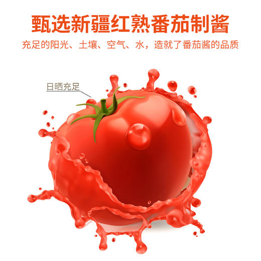 番茄汤料 可以做火锅底料做菜炖汤拌面西红柿鸡蛋面疙瘩汤 涮菜蘸料多用 多功能用途 凤归巢 商品图5