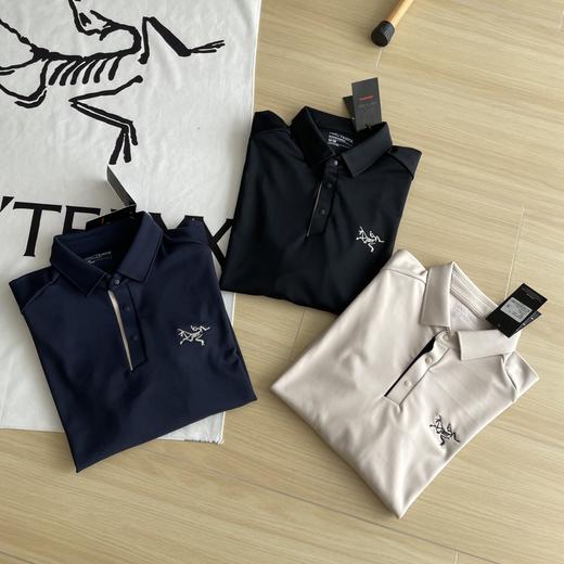 点此购买 始祖鸟男士春秋款三色Polo领顶级户外刺绣logo长袖T恤 cp 309875 商品图6