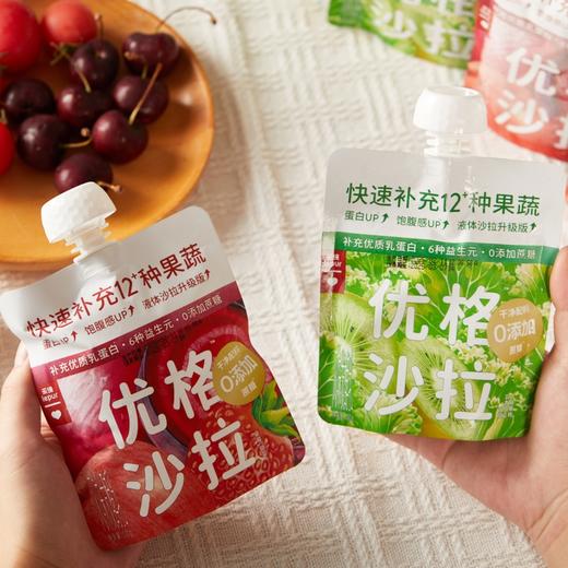 乐纯优格沙拉酸奶|12种蔬果+6种益生元+100亿活菌，0蔗糖纯净配料 商品图1