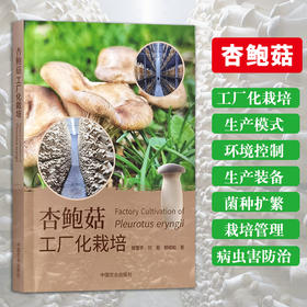 杏鲍菇工厂化栽培【官方正版，可开发票】