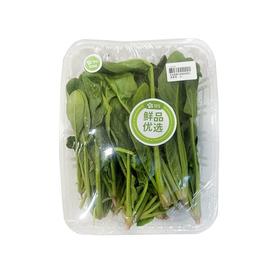 菠菜苗（份）(200±20g)