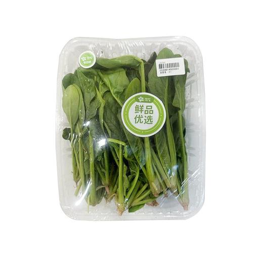 菠菜苗（份）(200±20g) 商品图0
