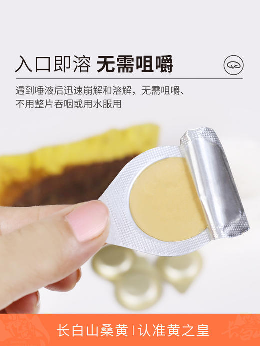 黄之皇 长白山桑黄冻干粉 6克/盒（0.2g/袋*30 片） 商品图1