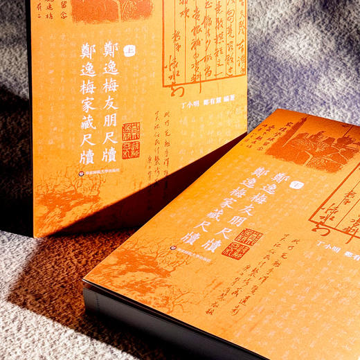 郑逸梅友朋尺牍 郑逸梅家藏尺牍 名宿交游 民国海上艺坛往事 商品图3