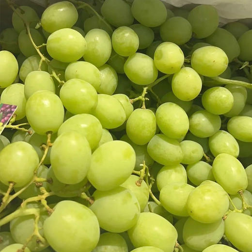【脆甜多汁】甜地球葡萄 约500g/份 商品图2
